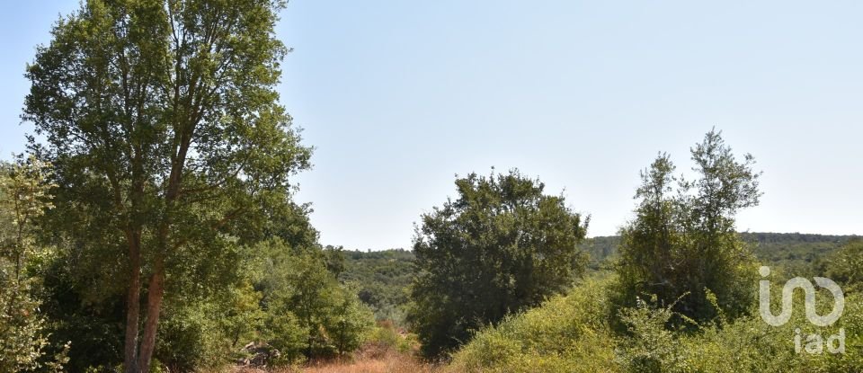 Terrain à bâtir à Chãos de 2 520 m²