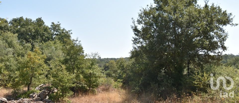 Terrain à bâtir à Chãos de 2 520 m²