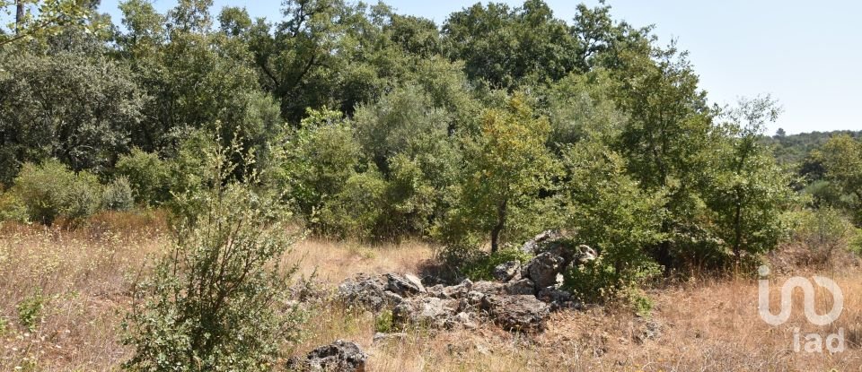 Terrain à bâtir à Chãos de 2 520 m²