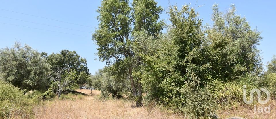 Terrain à bâtir à Chãos de 2 520 m²