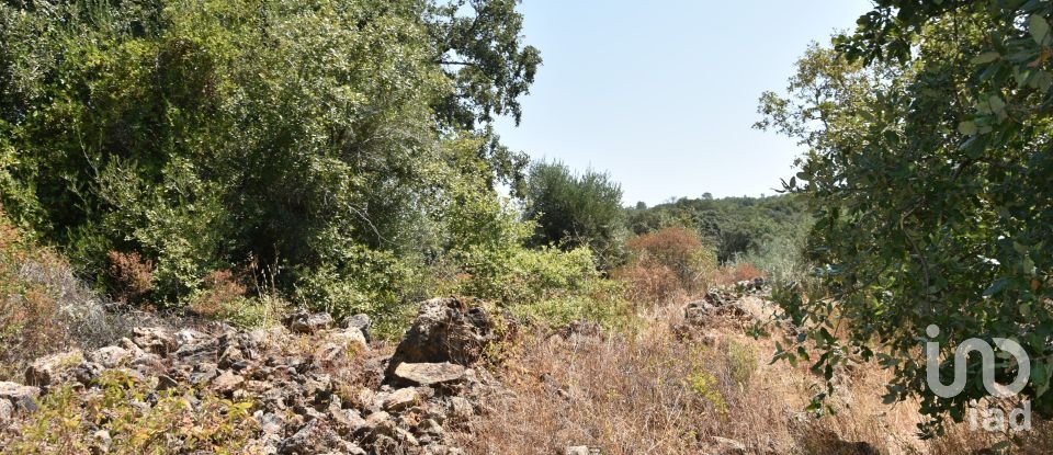 Terrain à bâtir à Chãos de 2 520 m²