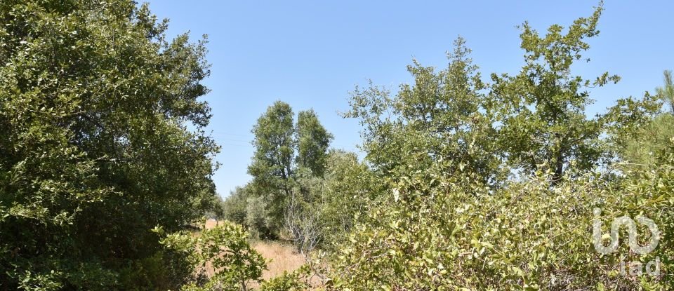 Terrain à bâtir à Chãos de 2 520 m²