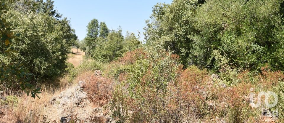 Terrain à bâtir à Chãos de 2 520 m²