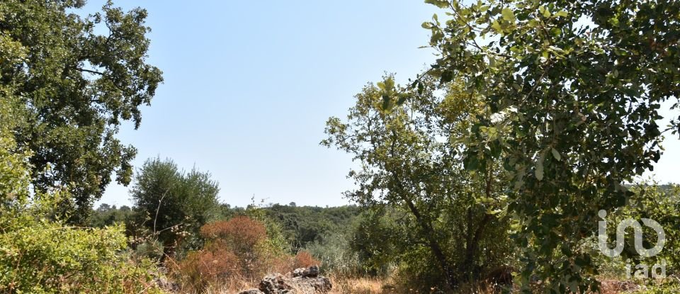 Terrain à bâtir à Chãos de 2 520 m²