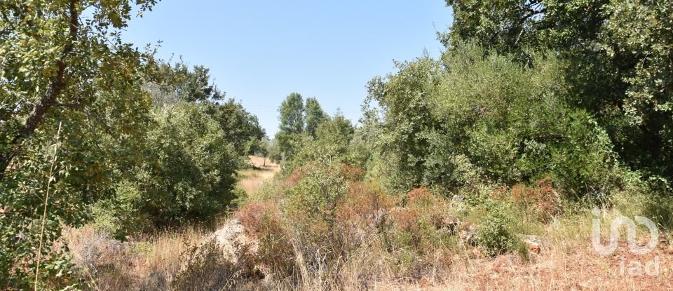 Terrain à bâtir à Chãos de 2 520 m²