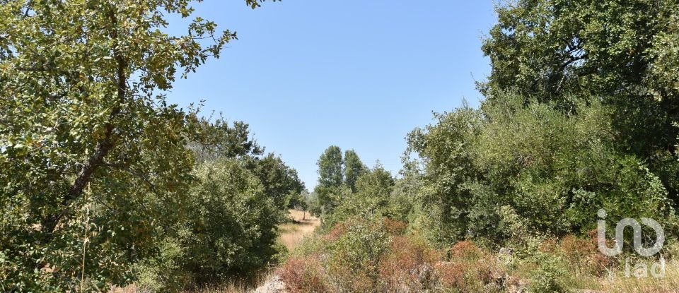Terrain à bâtir à Chãos de 2 520 m²