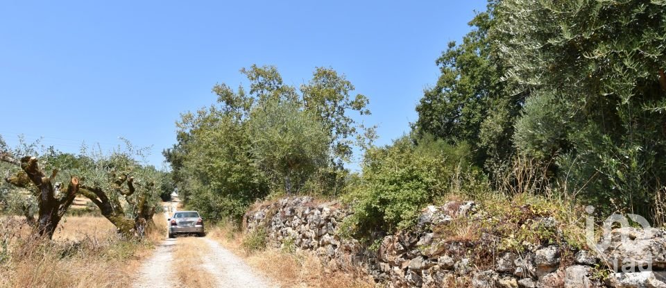 Terrain à bâtir à Chãos de 2 520 m²