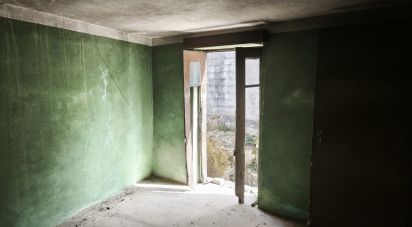 Maison T0 à Seixo da Beira de 50 m²