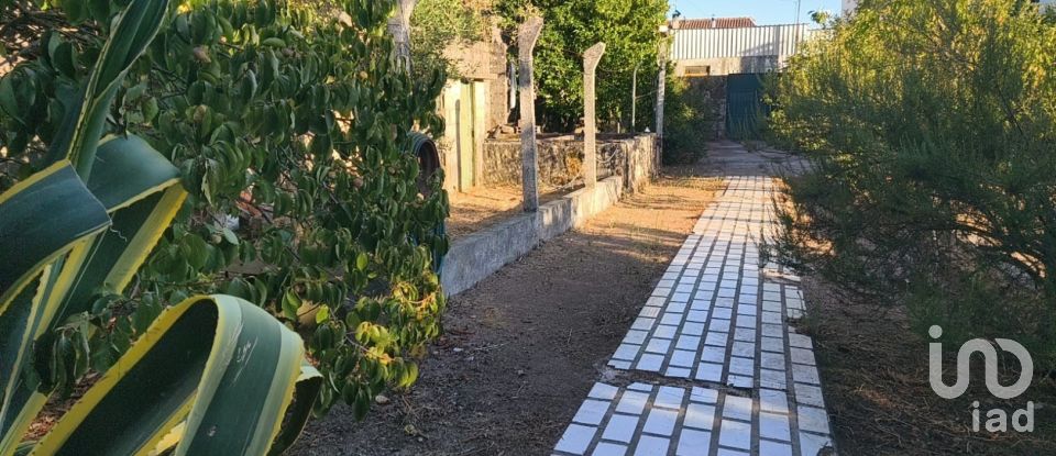 Maison T5 à Canas de Senhorim de 760 m²