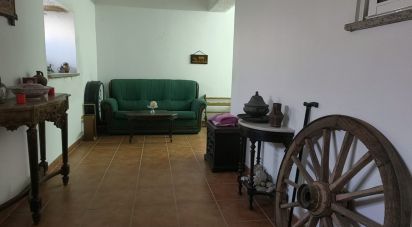 Maison T5 à Canas de Senhorim de 760 m²