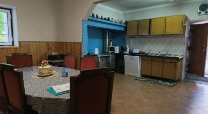 Maison T5 à Canas de Senhorim de 760 m²