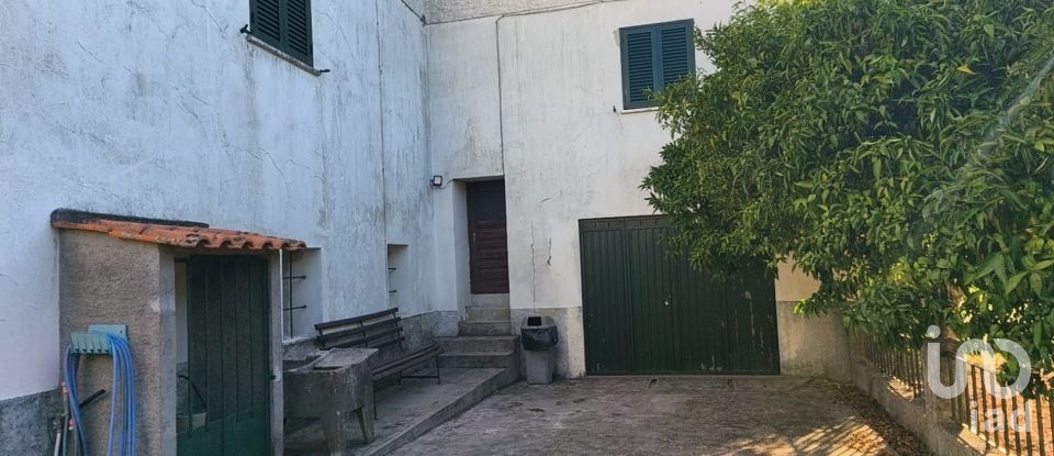 Maison T5 à Canas de Senhorim de 760 m²