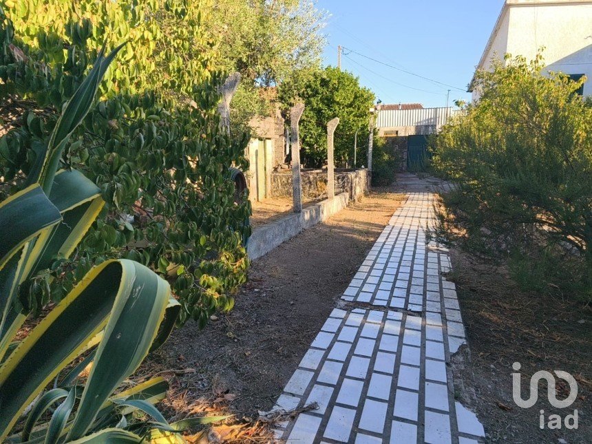 Maison T5 à Canas de Senhorim de 760 m²