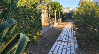 Maison T5 à Canas de Senhorim de 760 m²