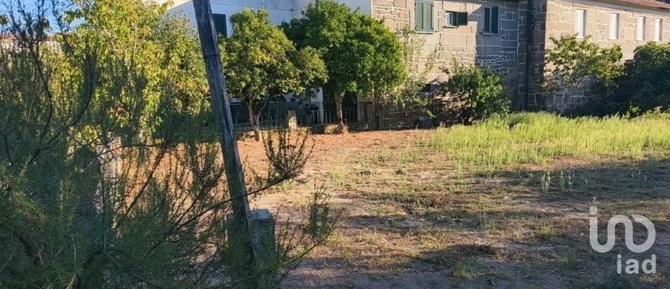 Maison T5 à Canas de Senhorim de 760 m²