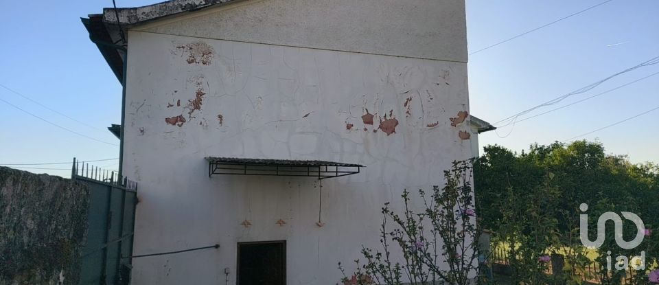 Maison T5 à Canas de Senhorim de 760 m²