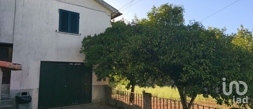 Maison T5 à Canas de Senhorim de 760 m²