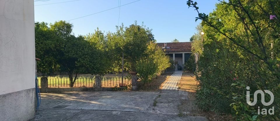 Maison T5 à Canas de Senhorim de 760 m²