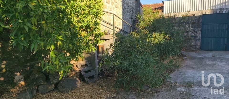 Maison T5 à Canas de Senhorim de 760 m²