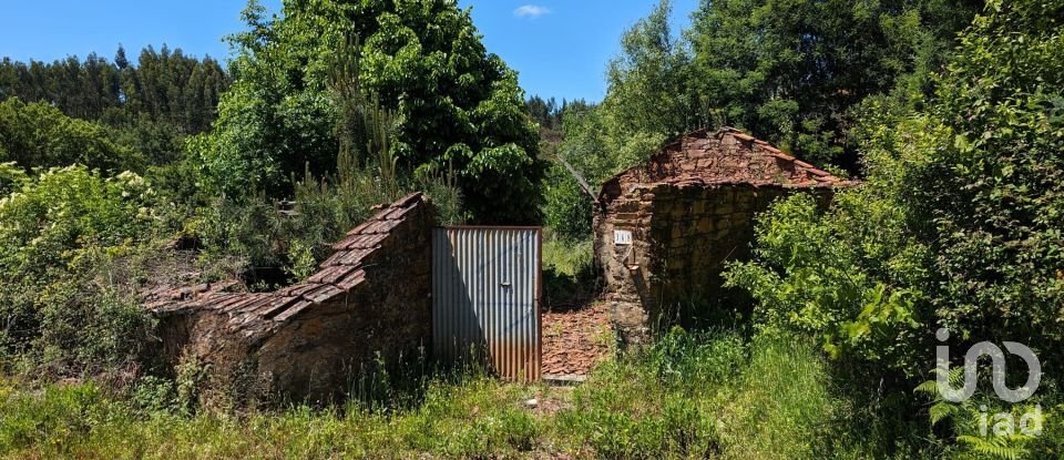 House T0 in Vila Facaia of 160 m²