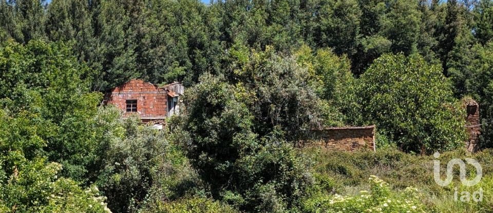 House T0 in Vila Facaia of 160 m²