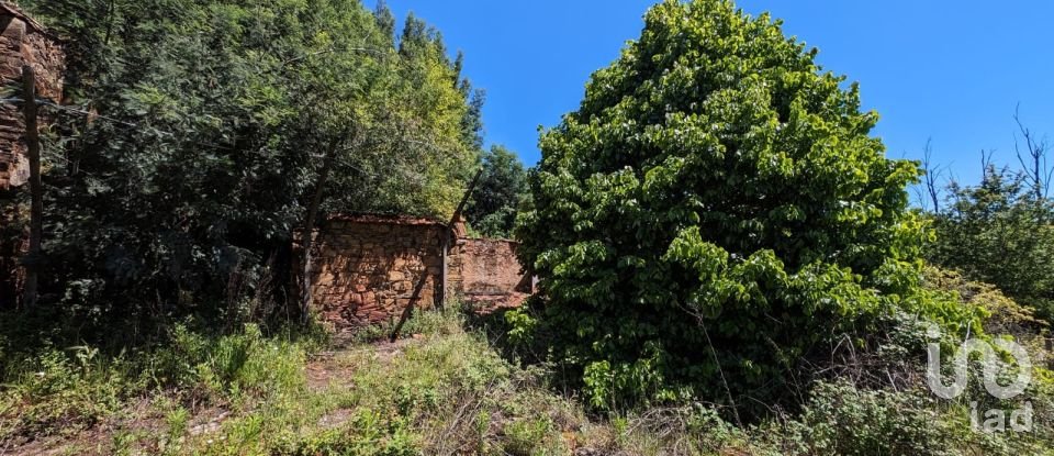 House T0 in Vila Facaia of 160 m²