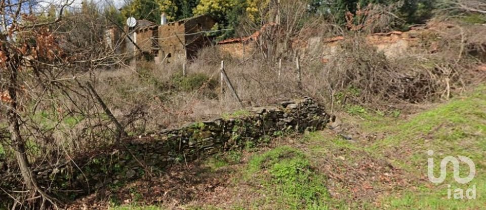 House T0 in Vila Facaia of 160 m²