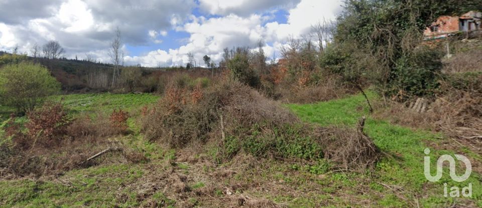 House T0 in Vila Facaia of 160 m²