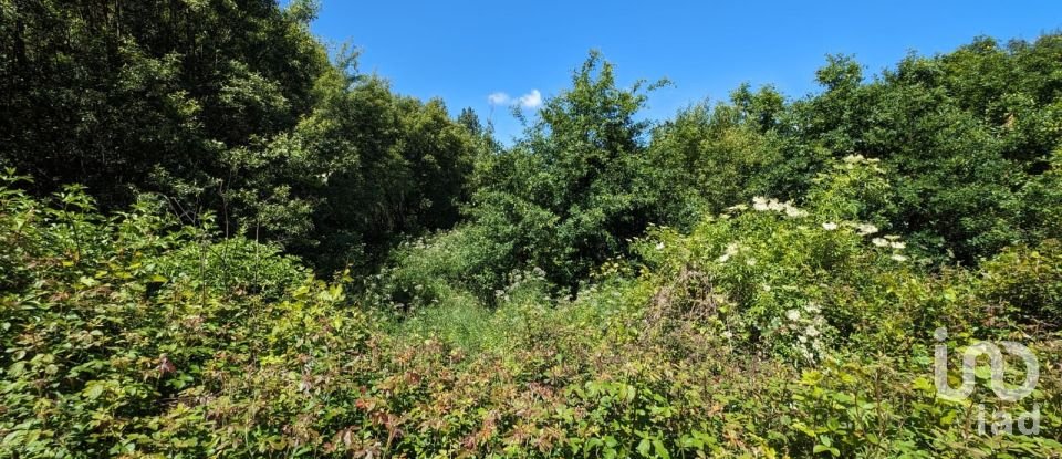 House T0 in Vila Facaia of 160 m²