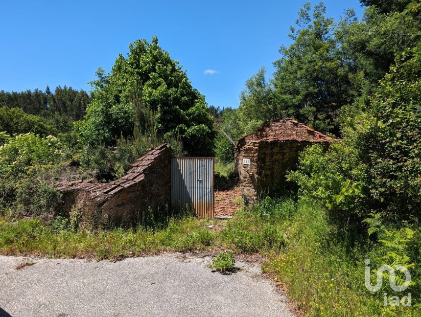 House T0 in Vila Facaia of 160 m²