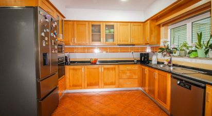 Maison T3 à Santa Cruz da Trapa e São Cristóvão de Lafões de 173 m²