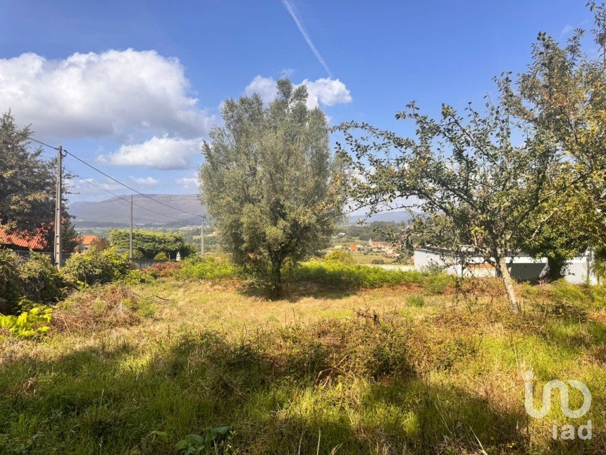 Terrain à Geraz Do Lima (Santa Maria, Santa Leocádia E Moreira) E Deão de 1 493 m²