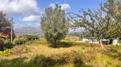 Land in Geraz Do Lima (Santa Maria, Santa Leocádia E Moreira) E Deão of 1,493 m²