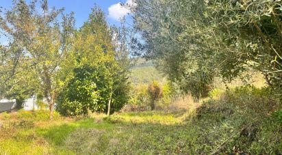 Land in Geraz Do Lima (Santa Maria, Santa Leocádia E Moreira) E Deão of 1,493 m²