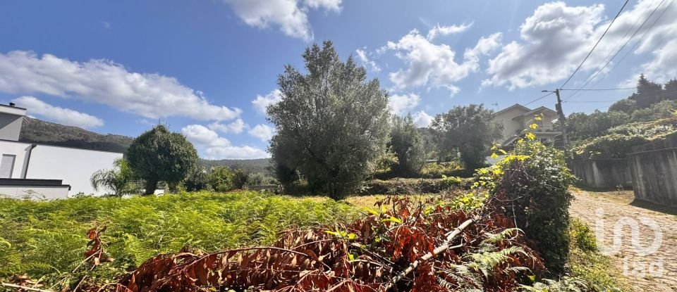 Terrain à Geraz Do Lima (Santa Maria, Santa Leocádia E Moreira) E Deão de 1 493 m²