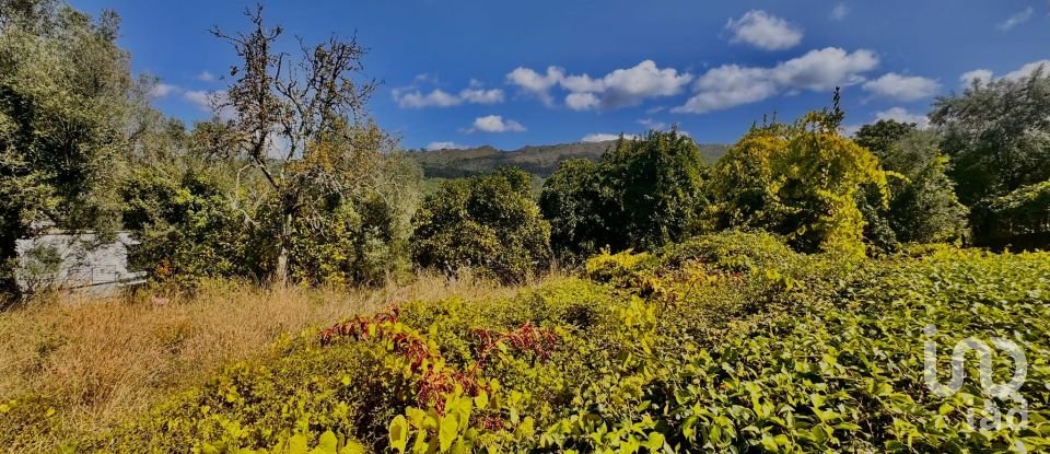 Terrain à Geraz Do Lima (Santa Maria, Santa Leocádia E Moreira) E Deão de 1 493 m²