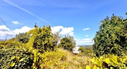 Land in Geraz Do Lima (Santa Maria, Santa Leocádia E Moreira) E Deão of 1,493 m²