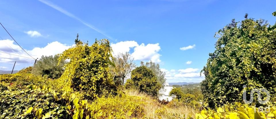 Terrain à Geraz Do Lima (Santa Maria, Santa Leocádia E Moreira) E Deão de 1 493 m²