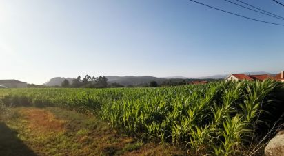 Terrain à bâtir à Antas de 4 675 m²