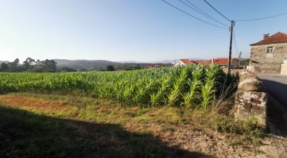 Terrain à bâtir à Antas de 4 675 m²