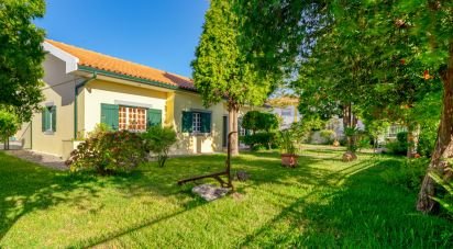 Maison T4 à Marinha Grande de 312 m²