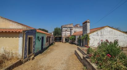 Ferme T7 à Nossa Senhora da Vila, Nossa Senhora do Bispo e Silveiras de 525 m²