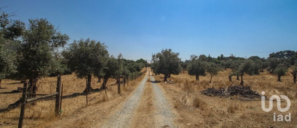 Ferme T7 à Nossa Senhora da Vila, Nossa Senhora do Bispo e Silveiras de 525 m²