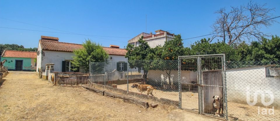 Ferme T7 à Nossa Senhora da Vila, Nossa Senhora do Bispo e Silveiras de 525 m²