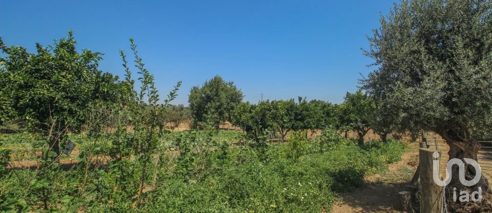 Ferme T7 à Nossa Senhora da Vila, Nossa Senhora do Bispo e Silveiras de 525 m²