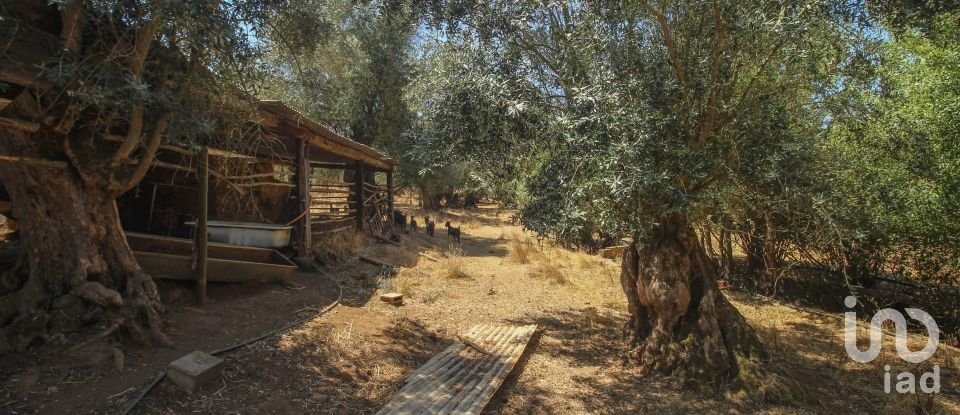 Ferme T7 à Nossa Senhora da Vila, Nossa Senhora do Bispo e Silveiras de 525 m²