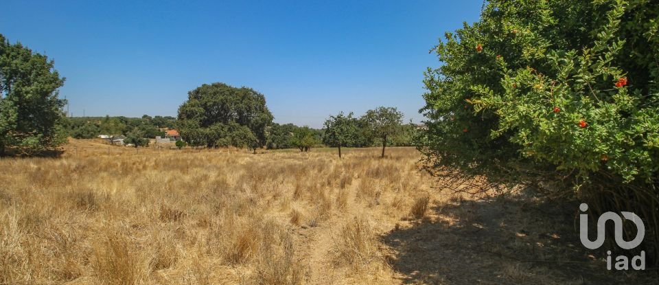 Ferme T7 à Nossa Senhora da Vila, Nossa Senhora do Bispo e Silveiras de 525 m²