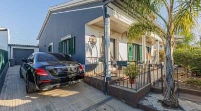 House T3 in Azeitão (São Lourenço e São Simão) of 244 m²