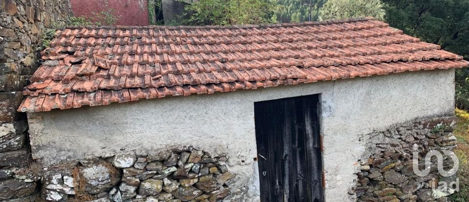 Maison T3 à Campelo de 134 m²