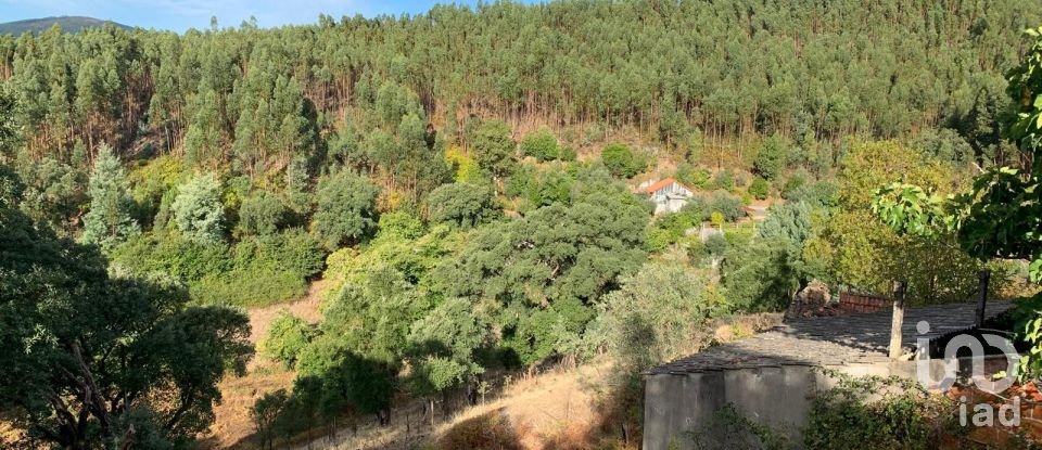 Maison T3 à Campelo de 134 m²